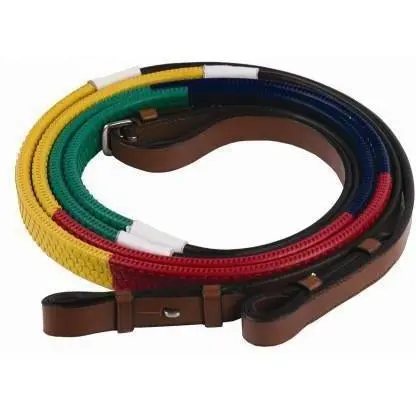 Henri De Rivel Training Reins 1