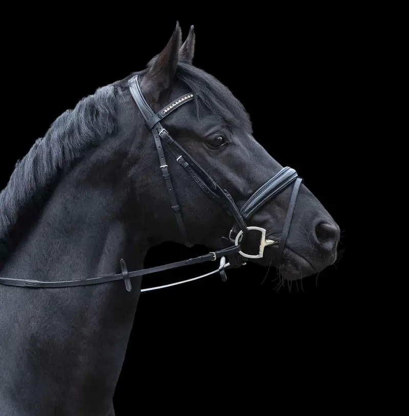 Herm Sprenger Novocontact Eggbutt With D Shaped Rings Sensogan Double Jointed Snaffle 2