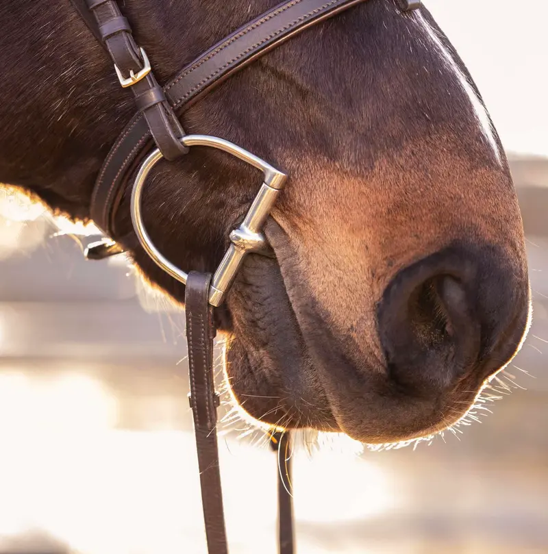 Herm Sprenger Single Joint D-Ring Snaffle 2