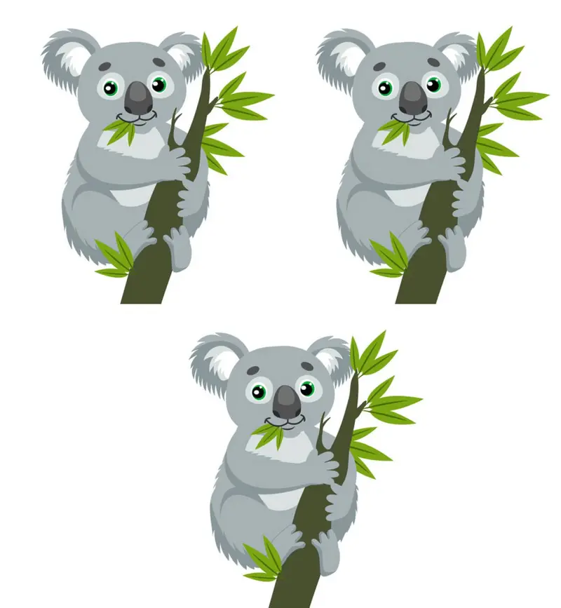 Hocsocx, Inc. - Koala Athletic Socks 2