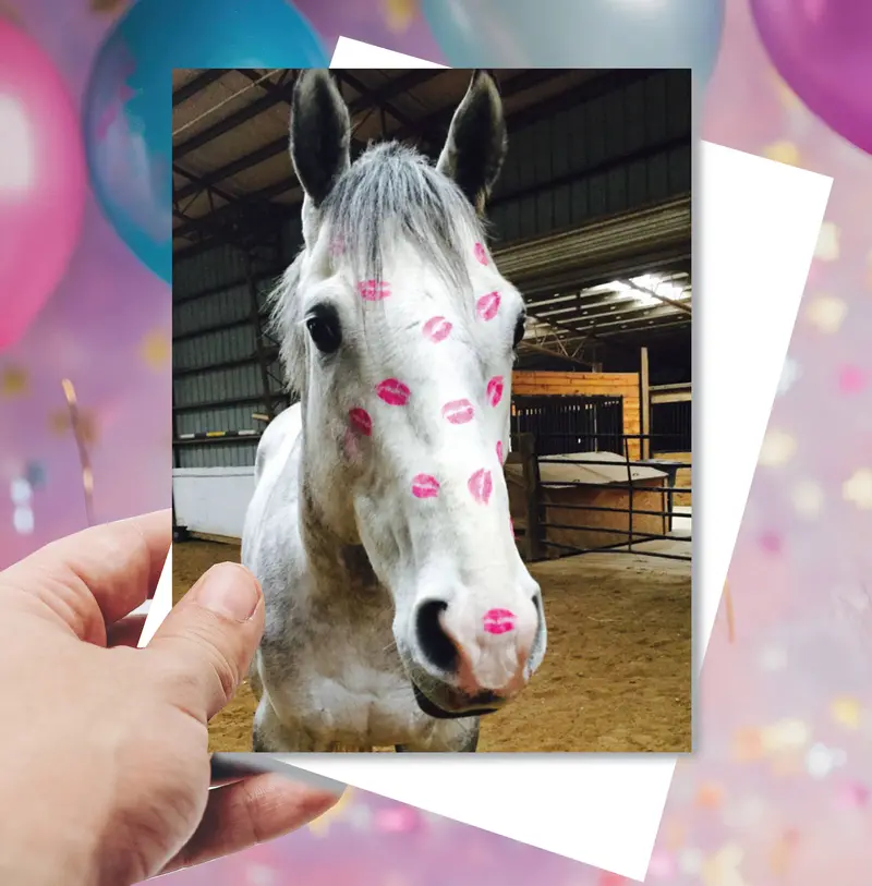 Horse Greeting Birthday Card / Horse Kiss 1