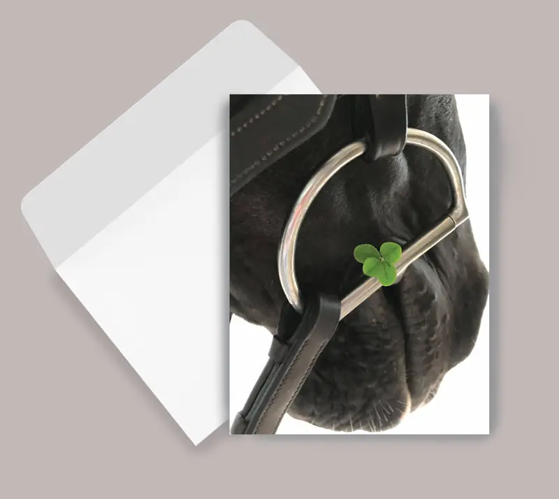 Horse Greeting Card / Four Leaf Clover 2
