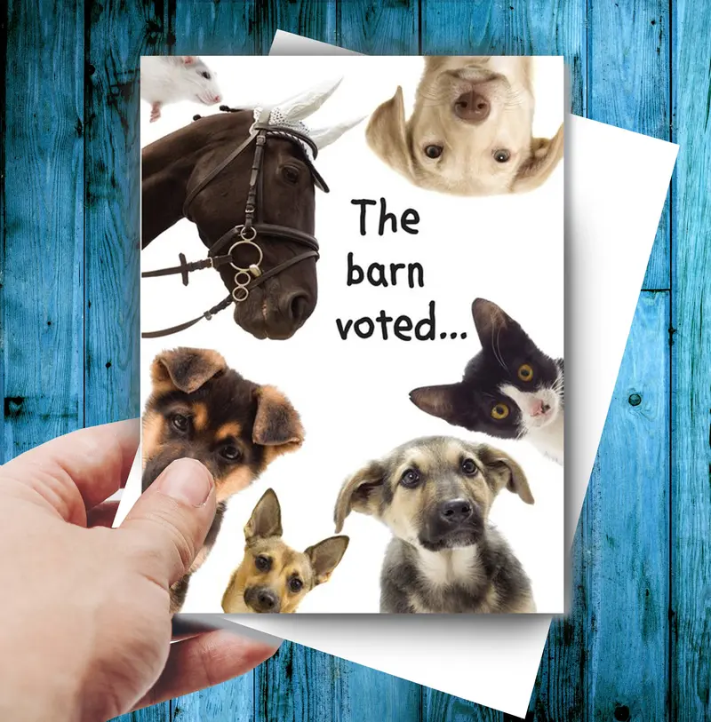Horse Hollow Press - Horse Birthday Card: The Barn Voted 1