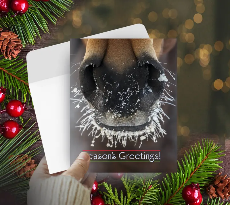 Horse Hollow Press - Horse Christmas Card / Frosty Nose / Holiday Greeting Card 1