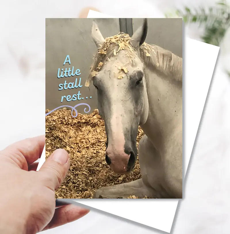 Horse Hollow Press - Horse Funny Get Well Card: A Little Stall Rest... Horse Card 1