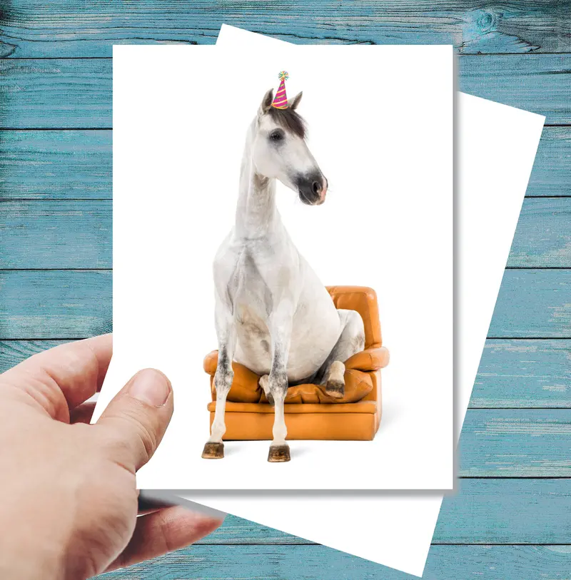 Horse Hollow Press - Horse Greeting Birthday Card 1
