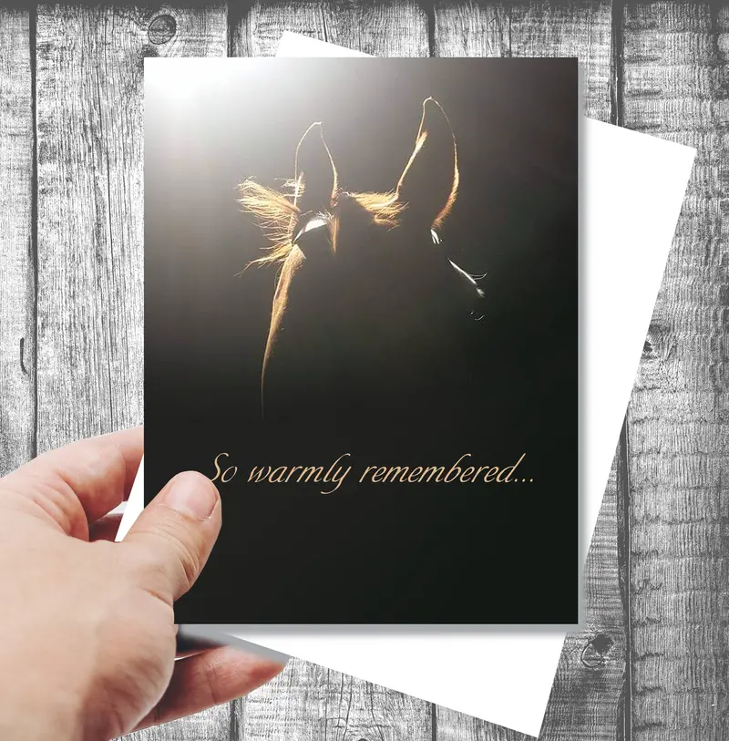 Horse Hollow Press - Horse Sympathy Card: So Warmly Remembered... 1