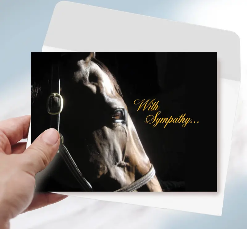 Horse Hollow Press - Horse Sympathy Card: With Sympathy. 1