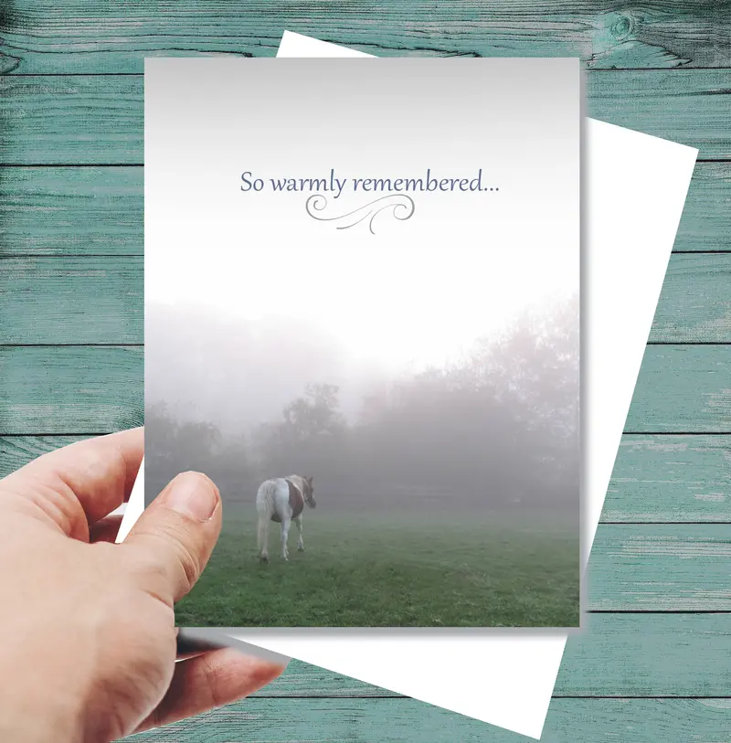 Horse Sympathy Greeting Card / So Warmly Remembered... 1