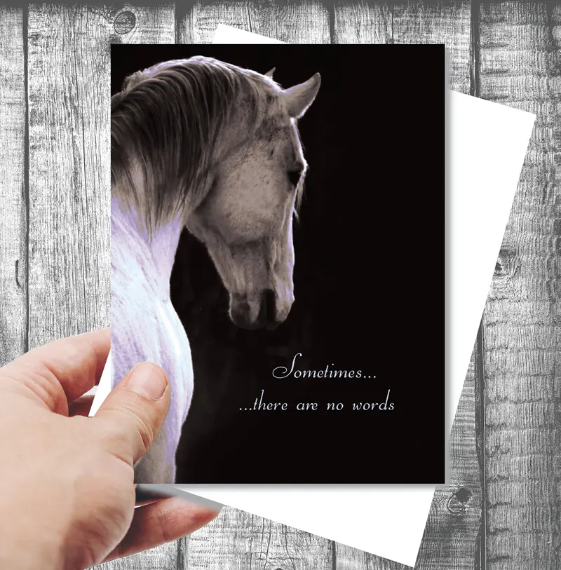 Horse Sympathy Greeting Card / Sometimes There Are No Words 1