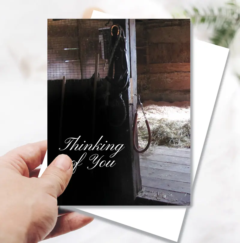 Horse Sympathy Greeting Card / Thinking Of You 1