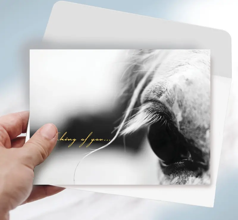 Horse Sympathy Greeting Card / Thinking Of You 1
