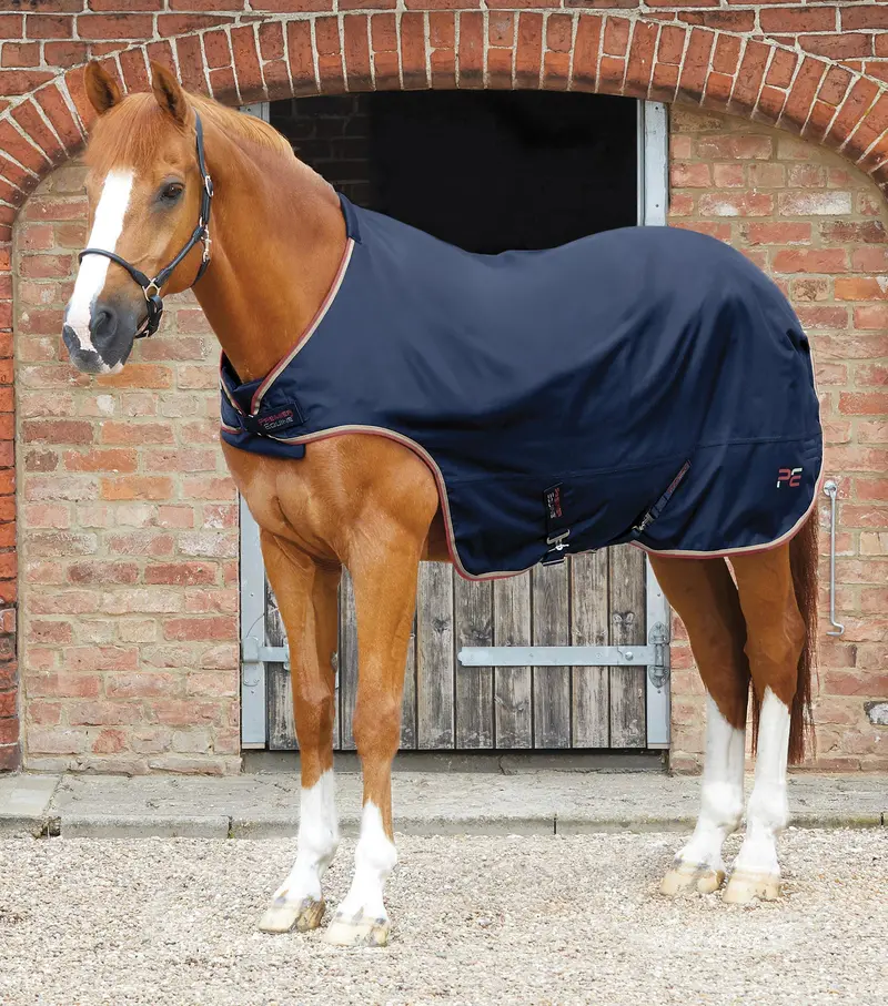 Horse Walker Rug 0G Navy 1