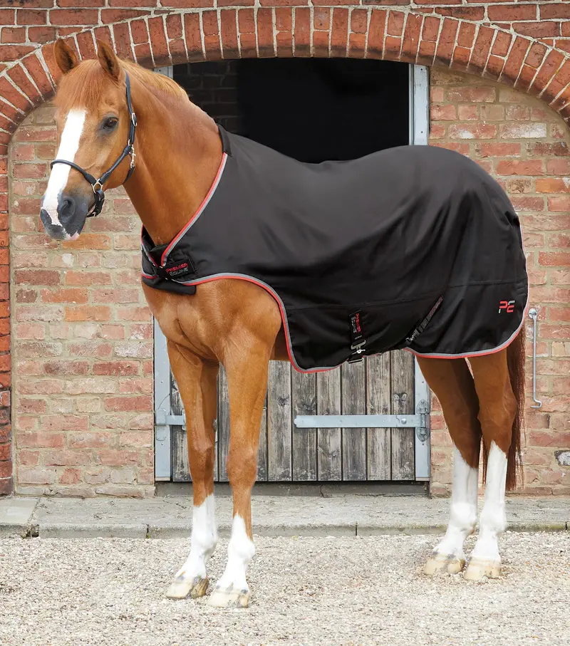 Horse Walker Rug 100G Black 1