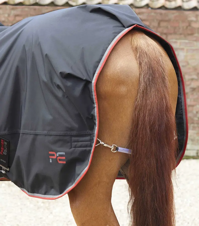 Horse Walker Rug 100G Black 6