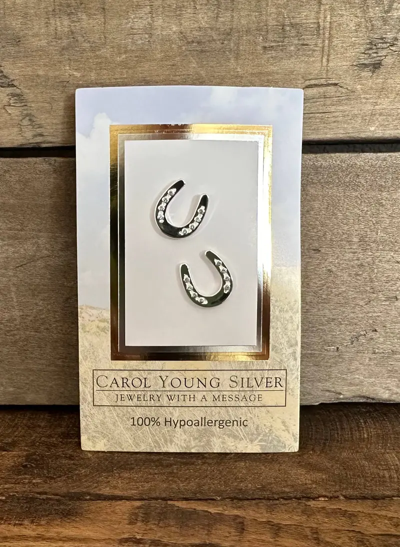 Horseshoe W/Aqua Crystals Earrings With Post 1