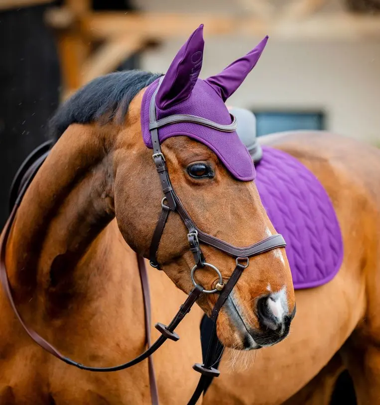 Horseware Amigo Ear Bonnet 1