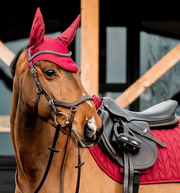 Horseware Amigo Ear Bonnet 3