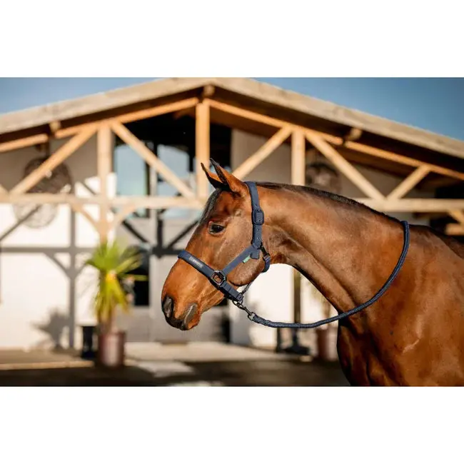 Horseware Amigo Halter and Lead Rope Combo Set