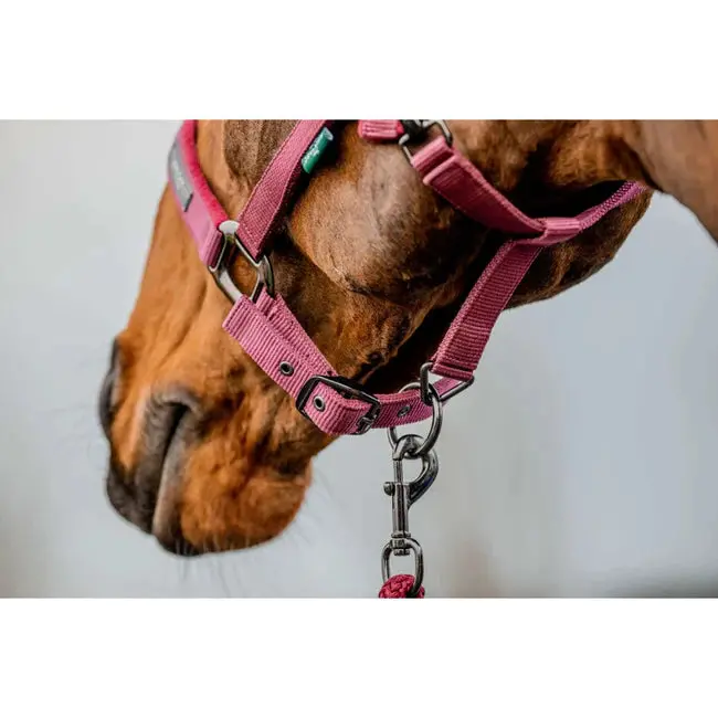 Horseware Amigo Halter and Lead Rope Combo Set