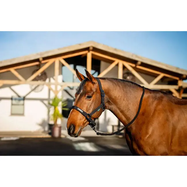 Horseware Amigo Halter And Leadrope Set 3