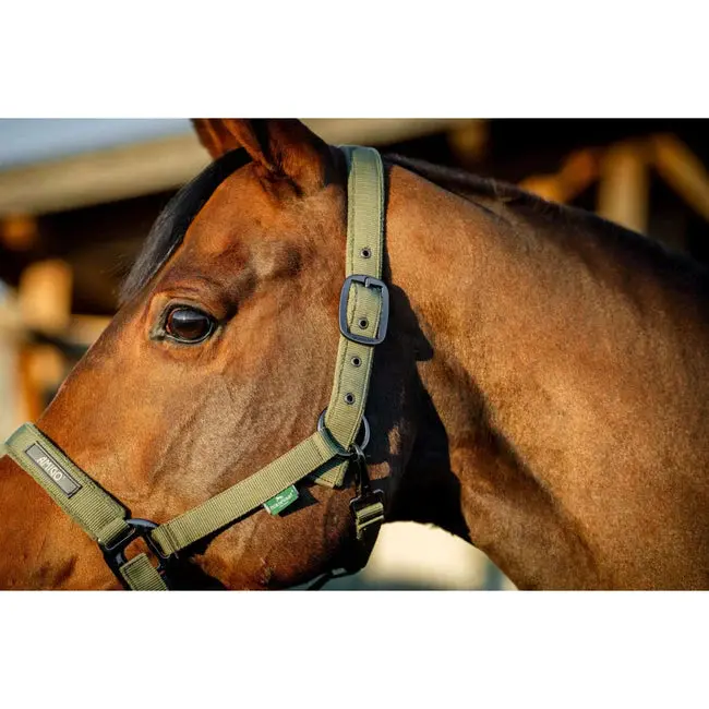 Horseware Amigo Halter And Leadrope Set 5