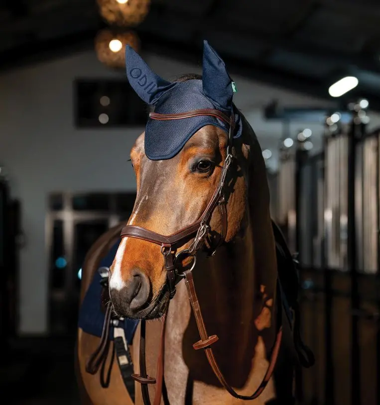 Horseware Amigo Protective Ear Bonnet for Horses