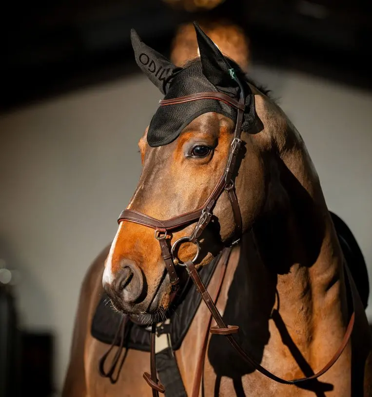 Horseware Amigo Protective Ear Bonnet for Horses