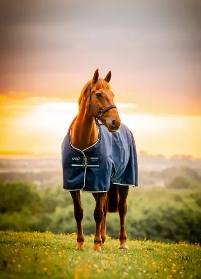 Horseware Amigo Ripstop 900D 50G Fleece Lined Turnout 1