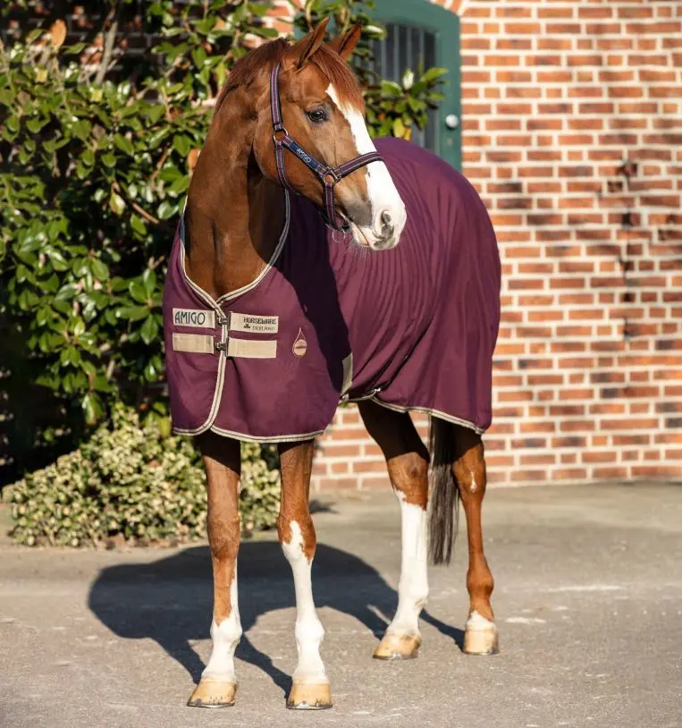 Horseware Amigo® Stable Sheet (0G Light) 1