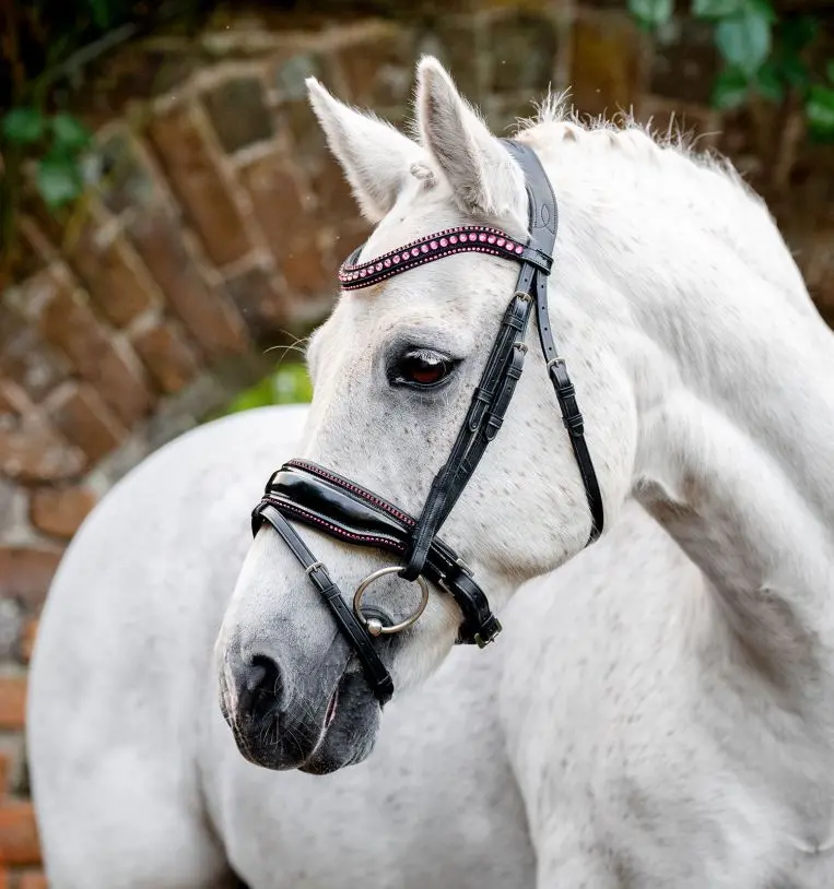 Horseware Diamante Flash Bridle 1