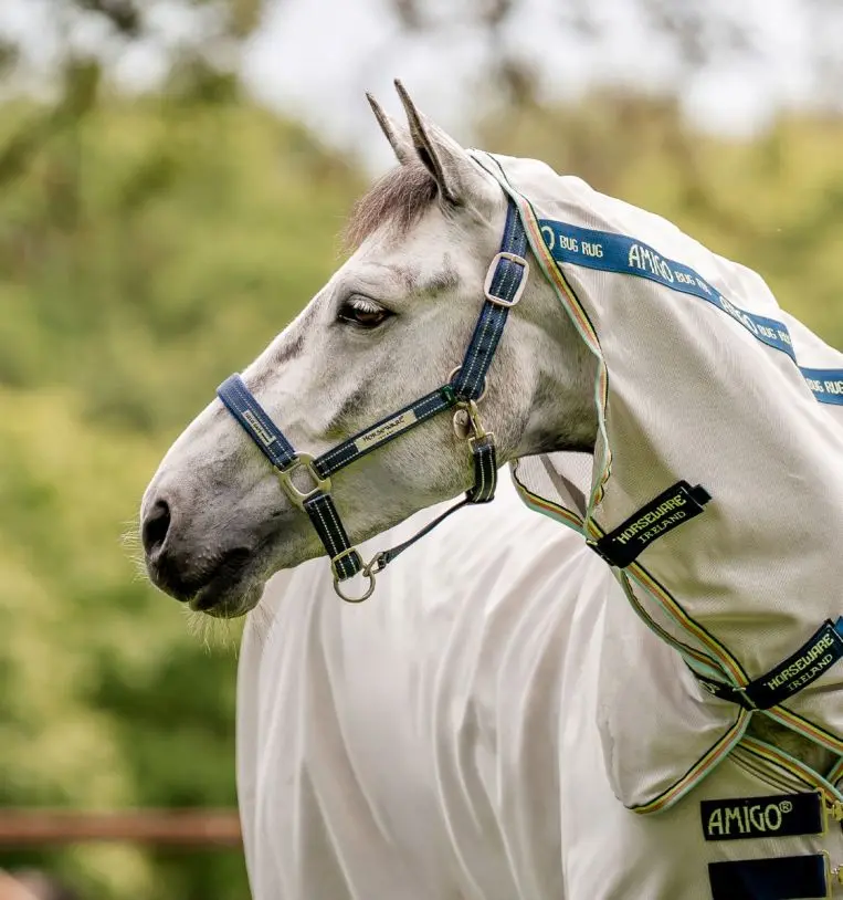 Horseware® Fieldsafe Halter 1