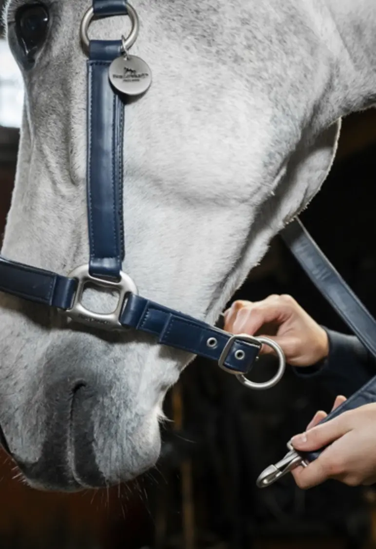 Horseware Grooming Halter 3