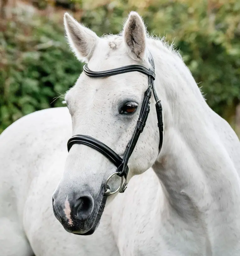 Horseware Hunter Cavesson Bridle 1