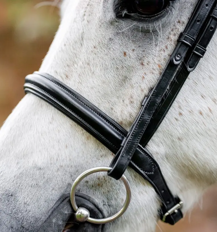 Horseware Hunter Cavesson Bridle 2