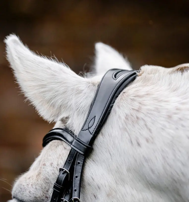 Horseware Hunter Cavesson Bridle 3