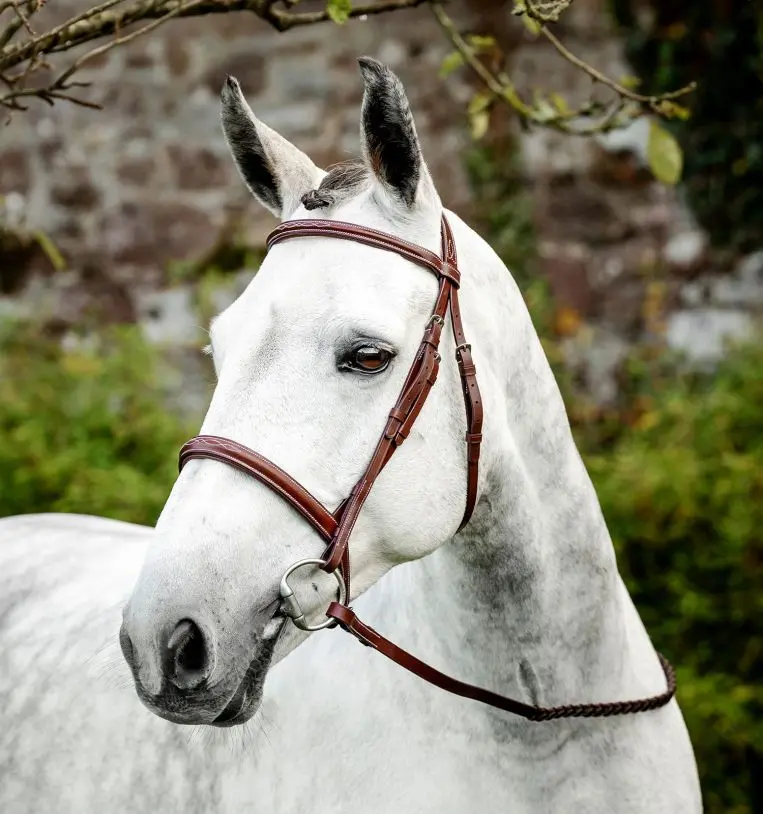 Horseware Hunter Cavesson Bridle With Reins 1