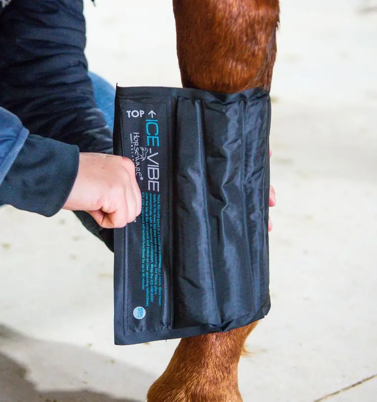 Horseware Ice-Vibe Cold Packs 1
