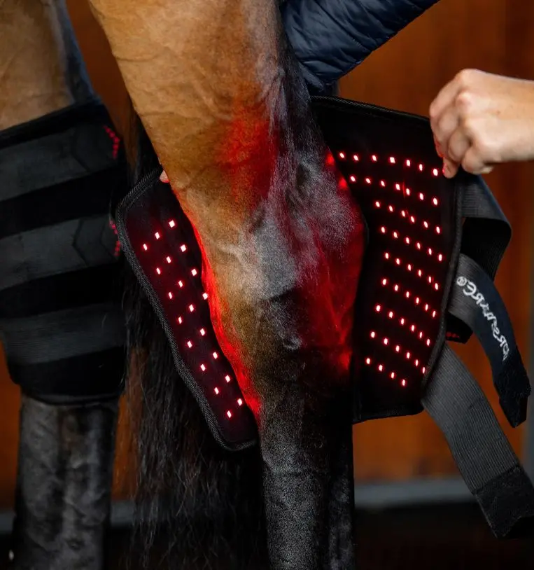 Horseware® Led Red Light Therapy Hock Boots 2