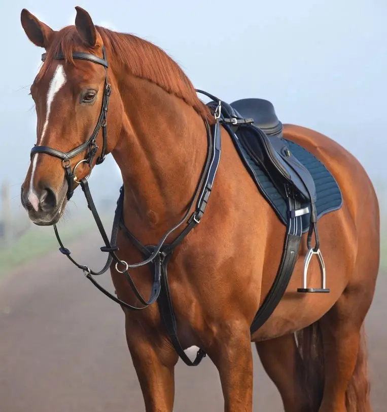 Horseware Micklem Breastplate Martingale 1