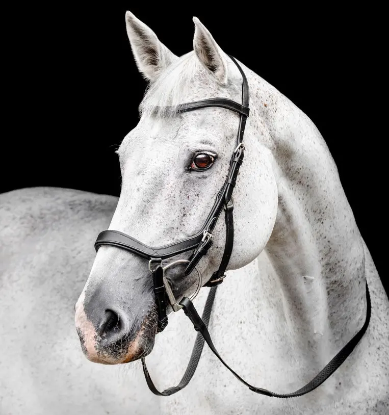 Horseware Micklem Competition Bridle 1