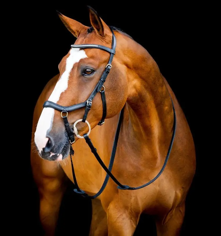 Horseware Micklem Diamante Competition Bridle 1