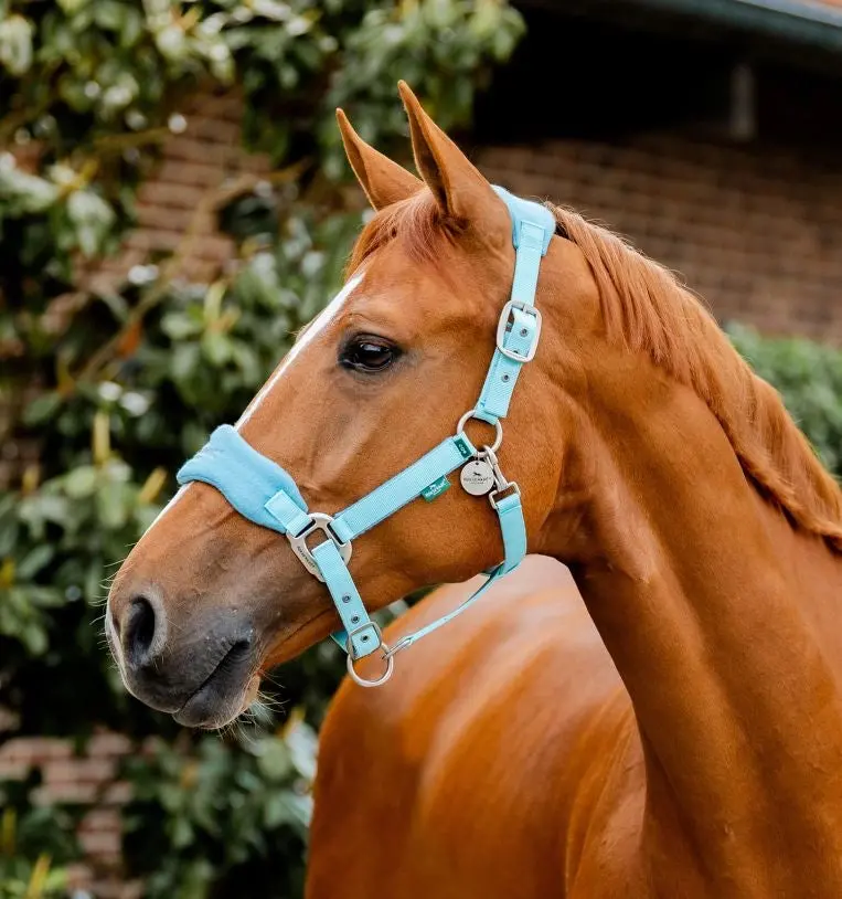 Horseware Signature Grooming Halter 1