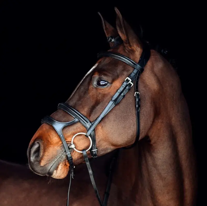Horze Perth Soft Lined Anatomical Bridle 1