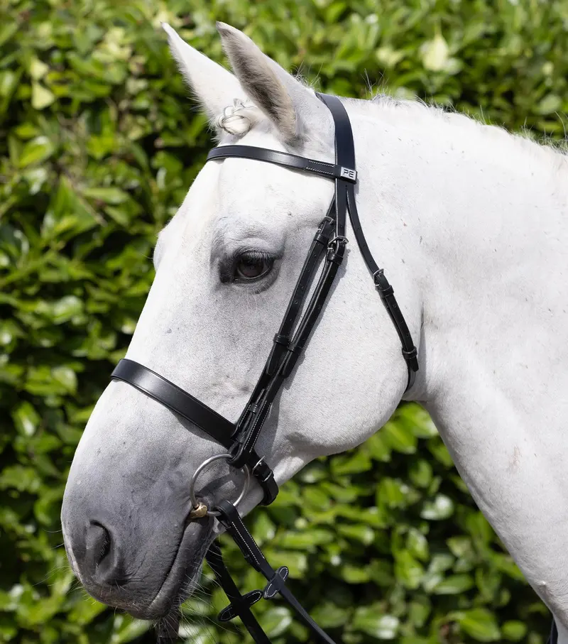 Hunter Bridle Black 1