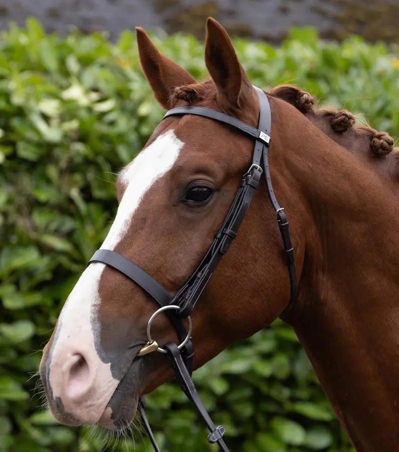 Hunter Bridle Dark Havana 1