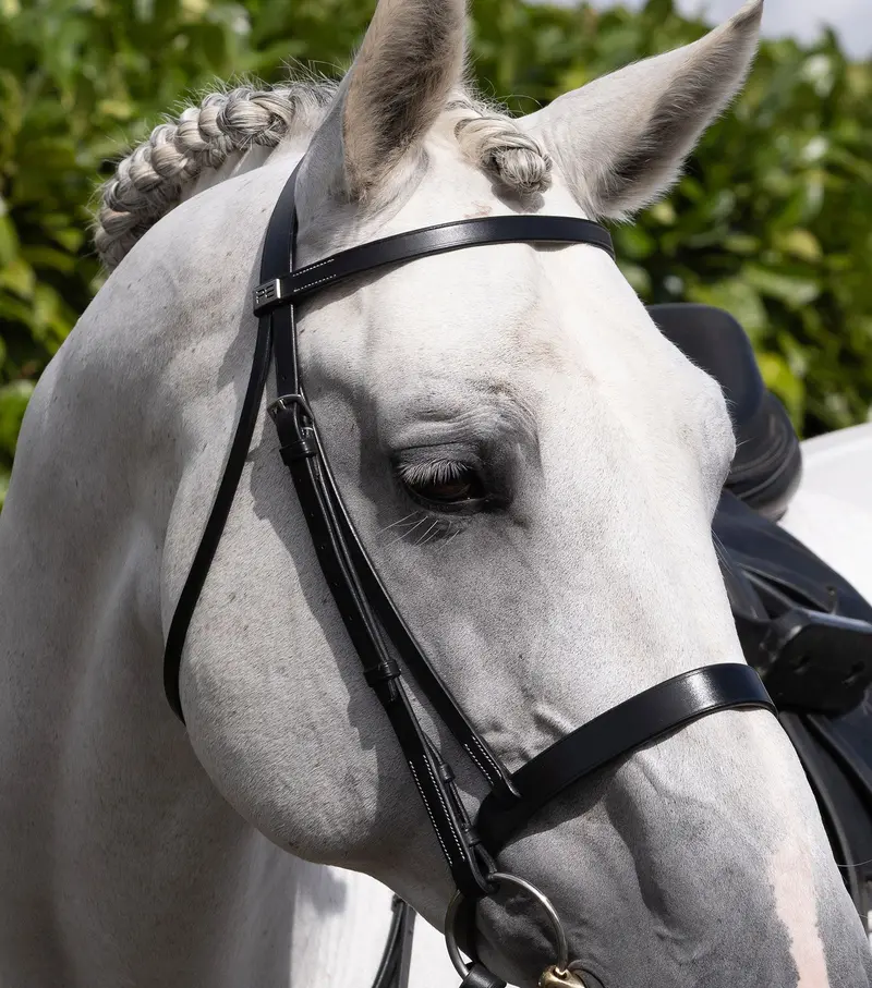 Hunter Plain Bridle Headpiece Black 3