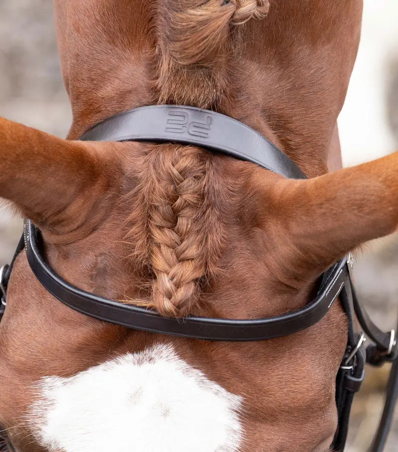 Hunter Plain Bridle Headpiece Dark Havana 2