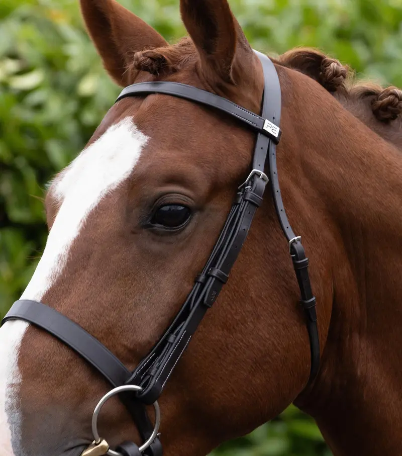Hunter Plain Bridle Headpiece Dark Havana 3