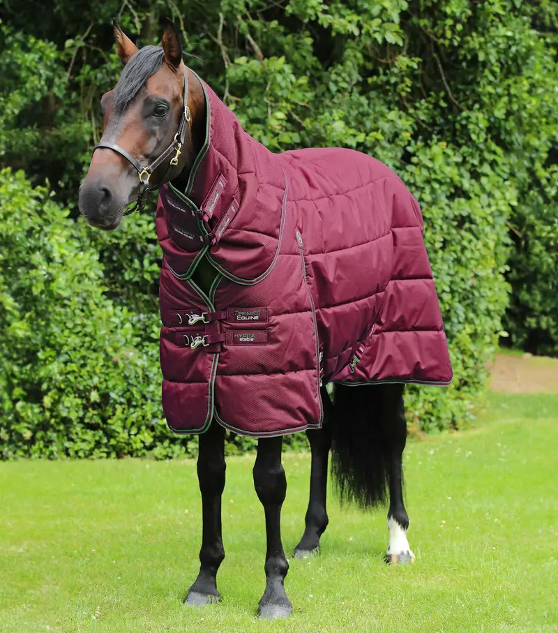 Hydra 350G Stable Rug With Neck Cover Wine 1